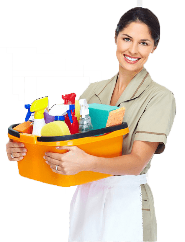 northern va cleaning services