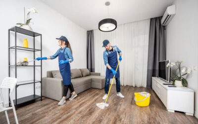 Areas Professional House Cleaning Cleaners Will Focus On The First Cleaning