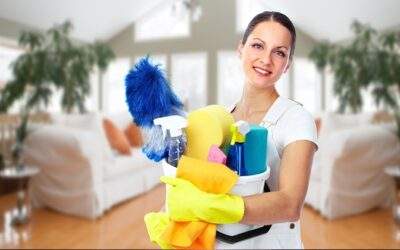 How Clean is Your House And When to Call a Pro