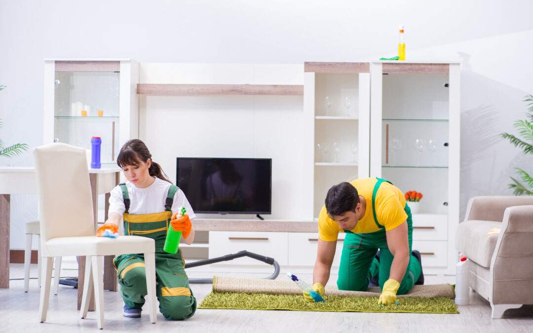 10 Questions to Ask House Cleaning Service
