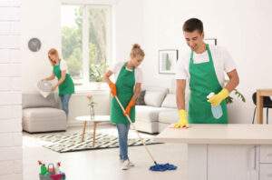 northern va home cleaning