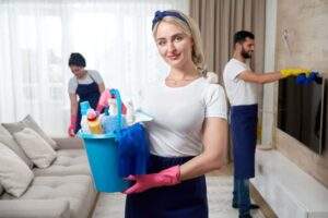 northern va cleaning services