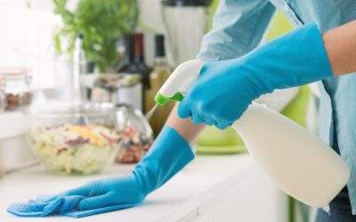 Why You Need Professional Cleaning Services In Ashburn
