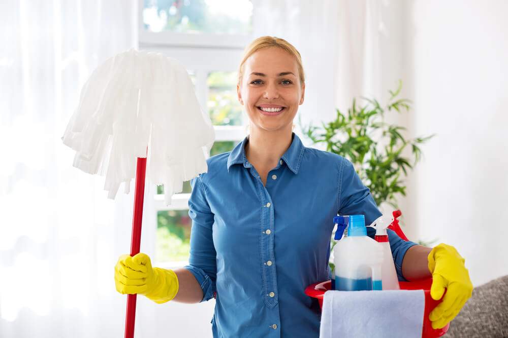 professional cleaner in ashburn