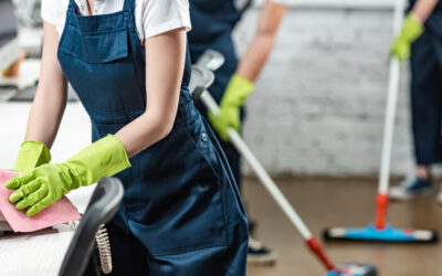 Professional Cleaning Services for Businesses and Offices in Northern VA