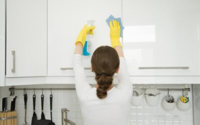 Ultimate Guide To Apartment Cleaning In Northern Virginia